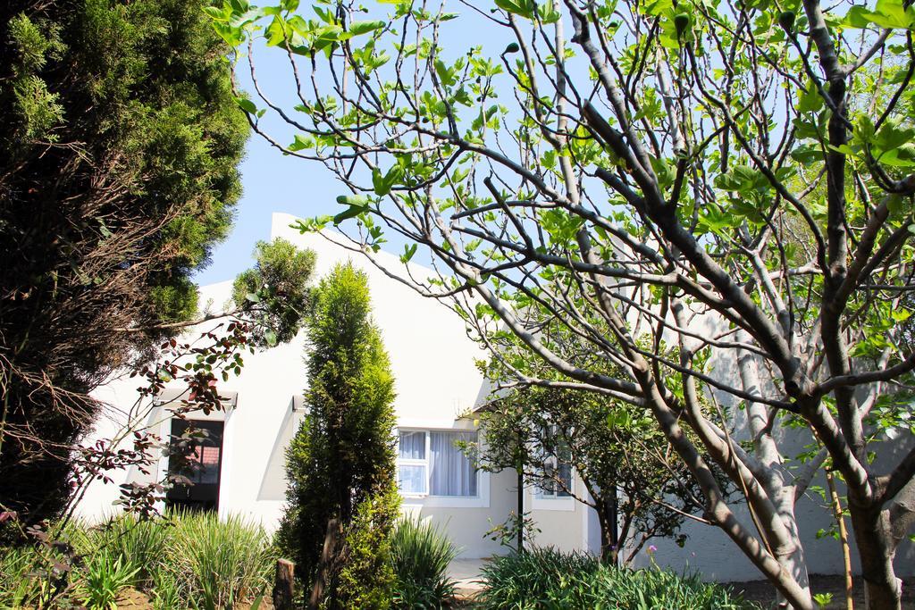 La Coscello Guest House Edenvale Eksteriør bilde
